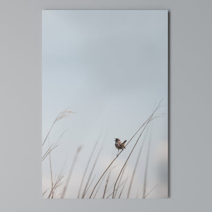 NATURE'S CHORUS Vertical Canvas Print