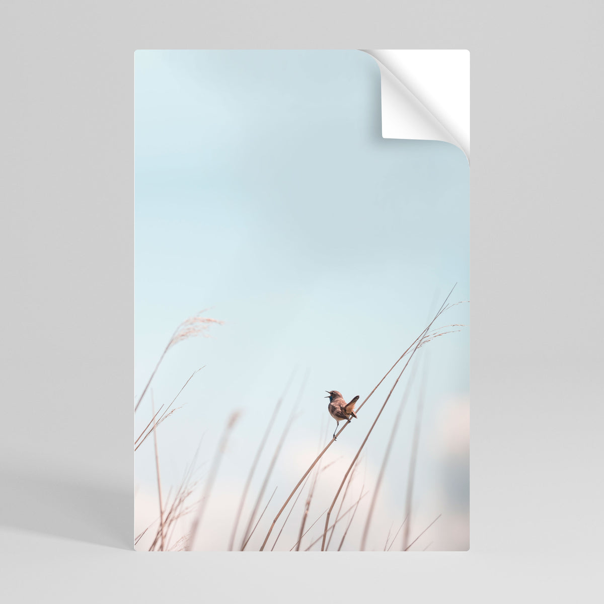 NATURE'S CHORUS Selbstklebendes Poster - Hochformat
