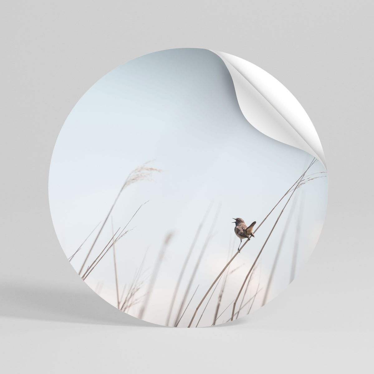 NATURE'S CHORUS Runder Wandsticker zum Abziehen und Aufkleben