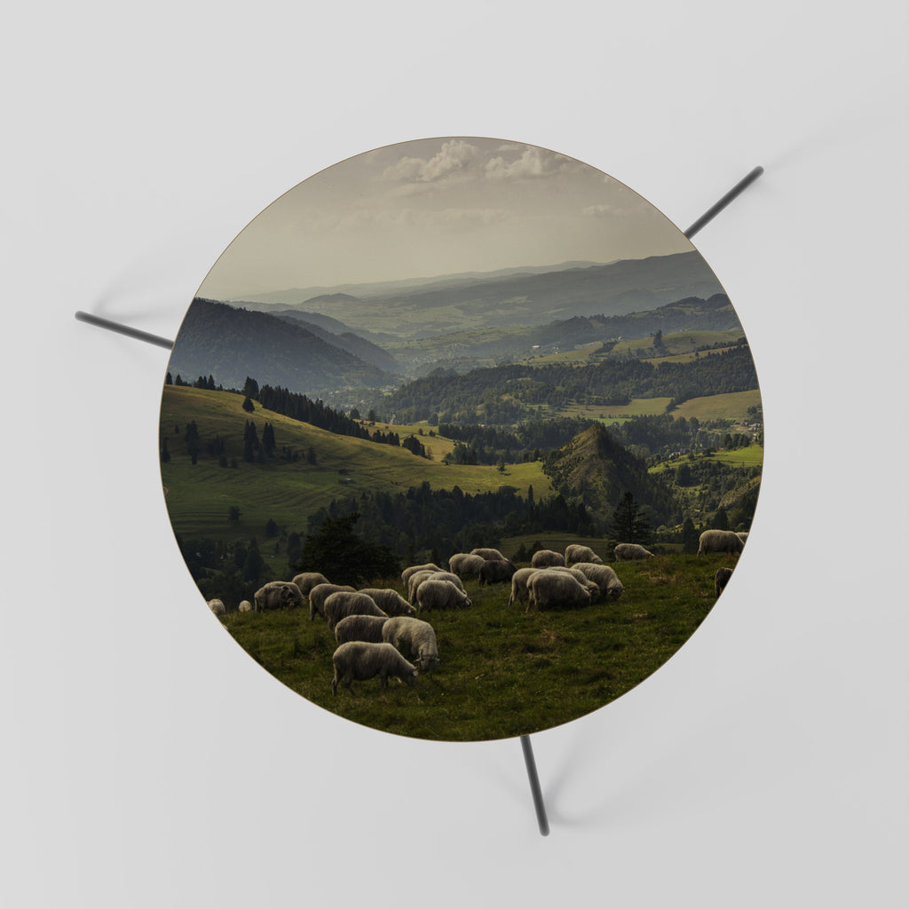 SHEEP IN SERENITY Couchtisch 60