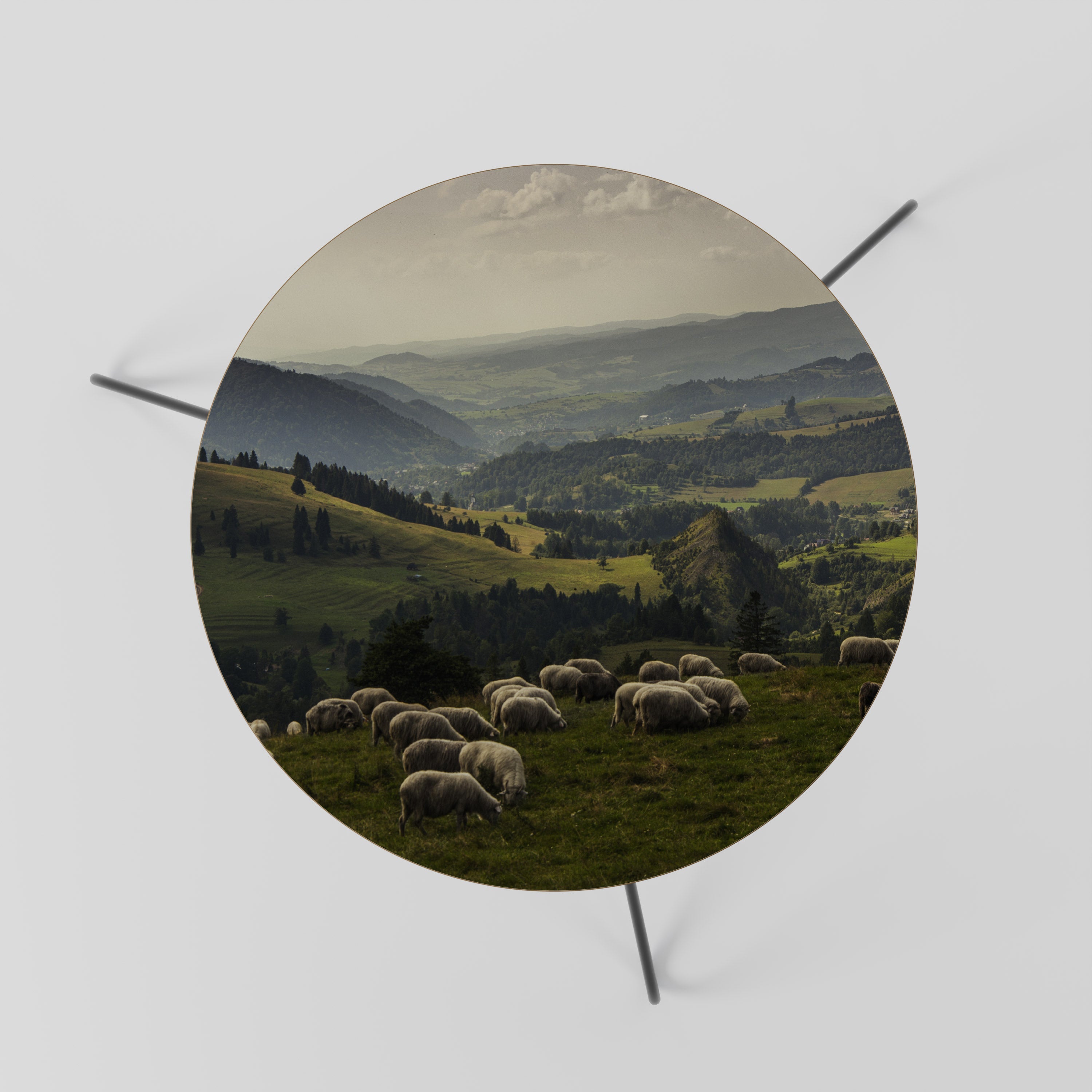 SHEEP IN SERENITY Couchtisch 60