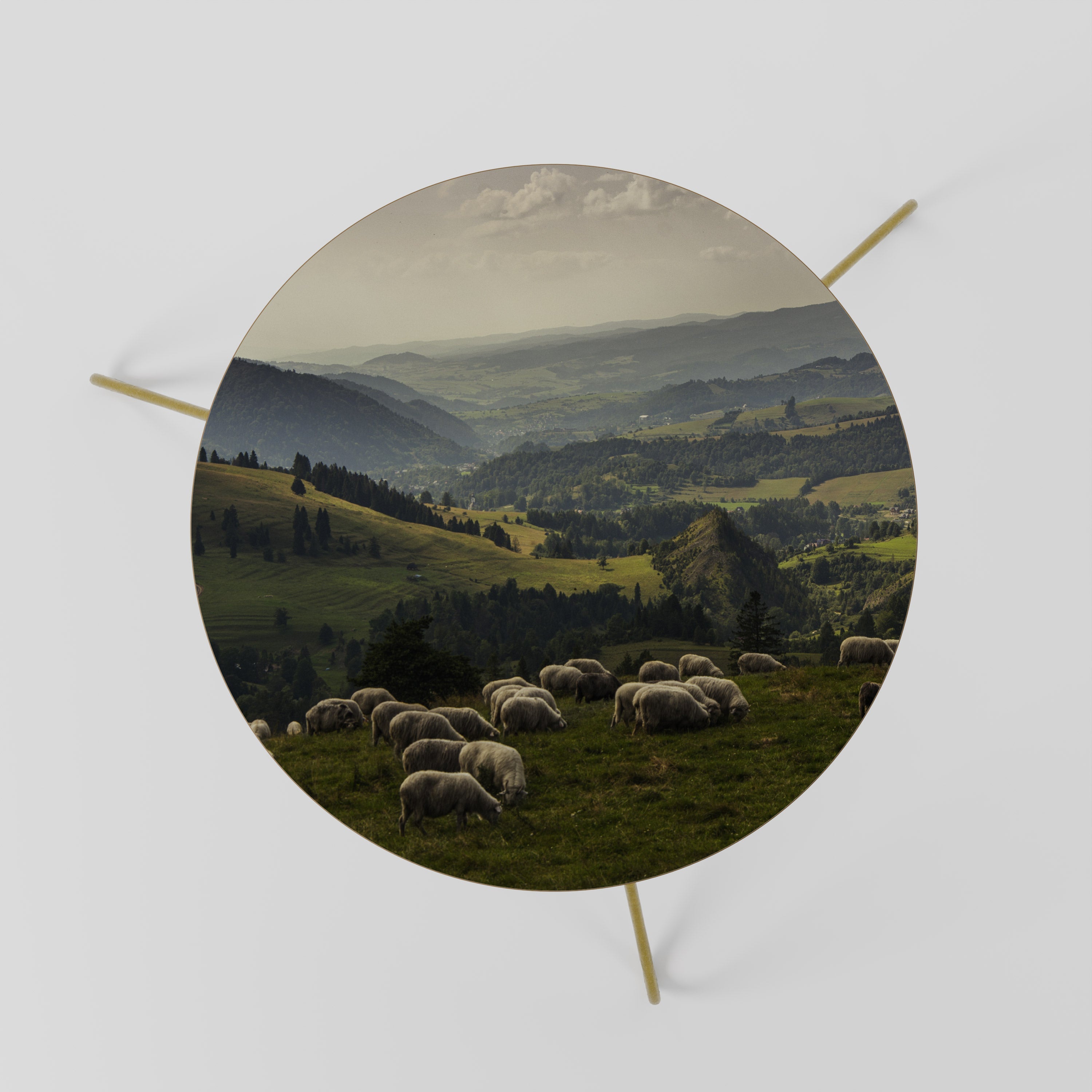 SHEEP IN SERENITY Couchtisch 60