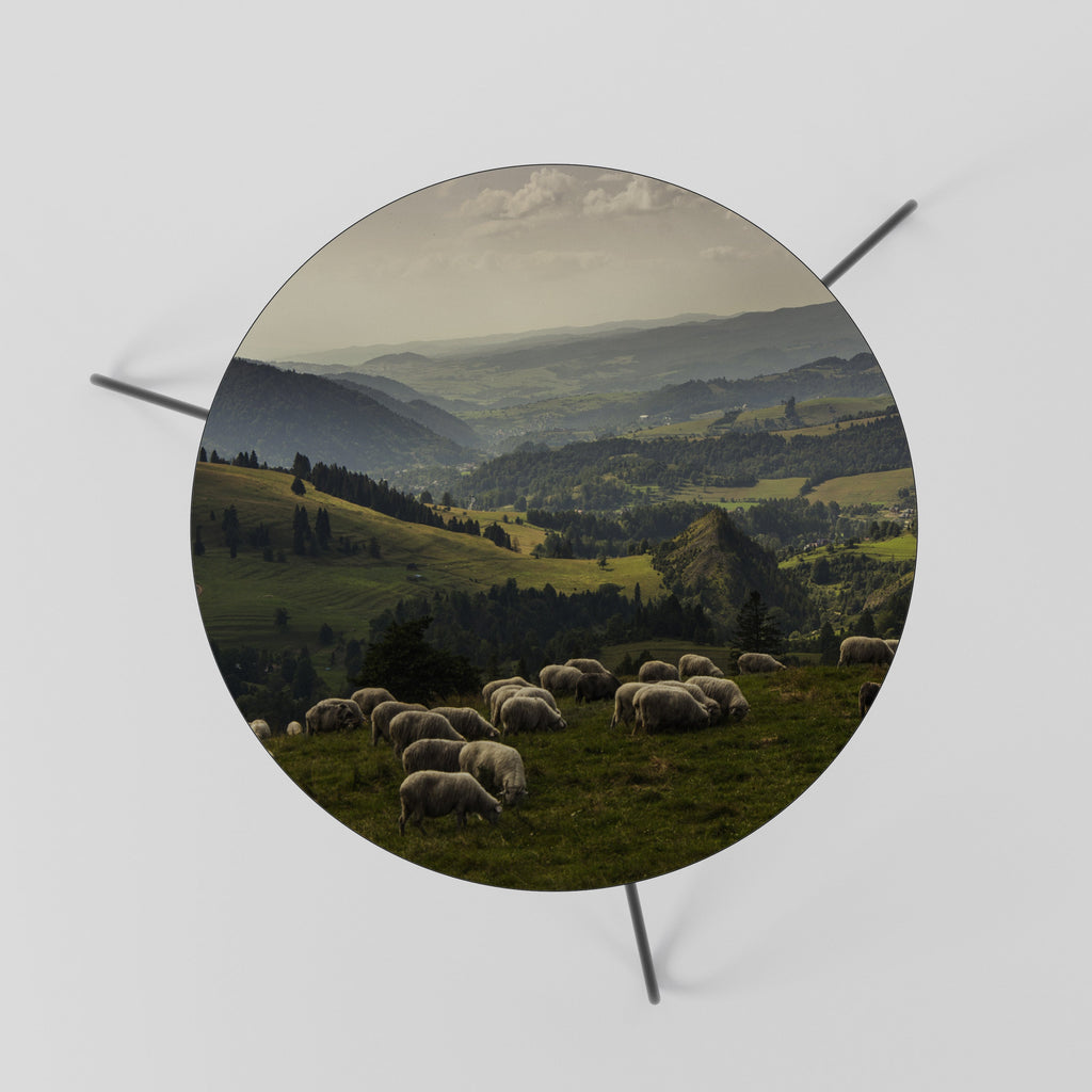 SHEEP IN SERENITY Couchtisch 60