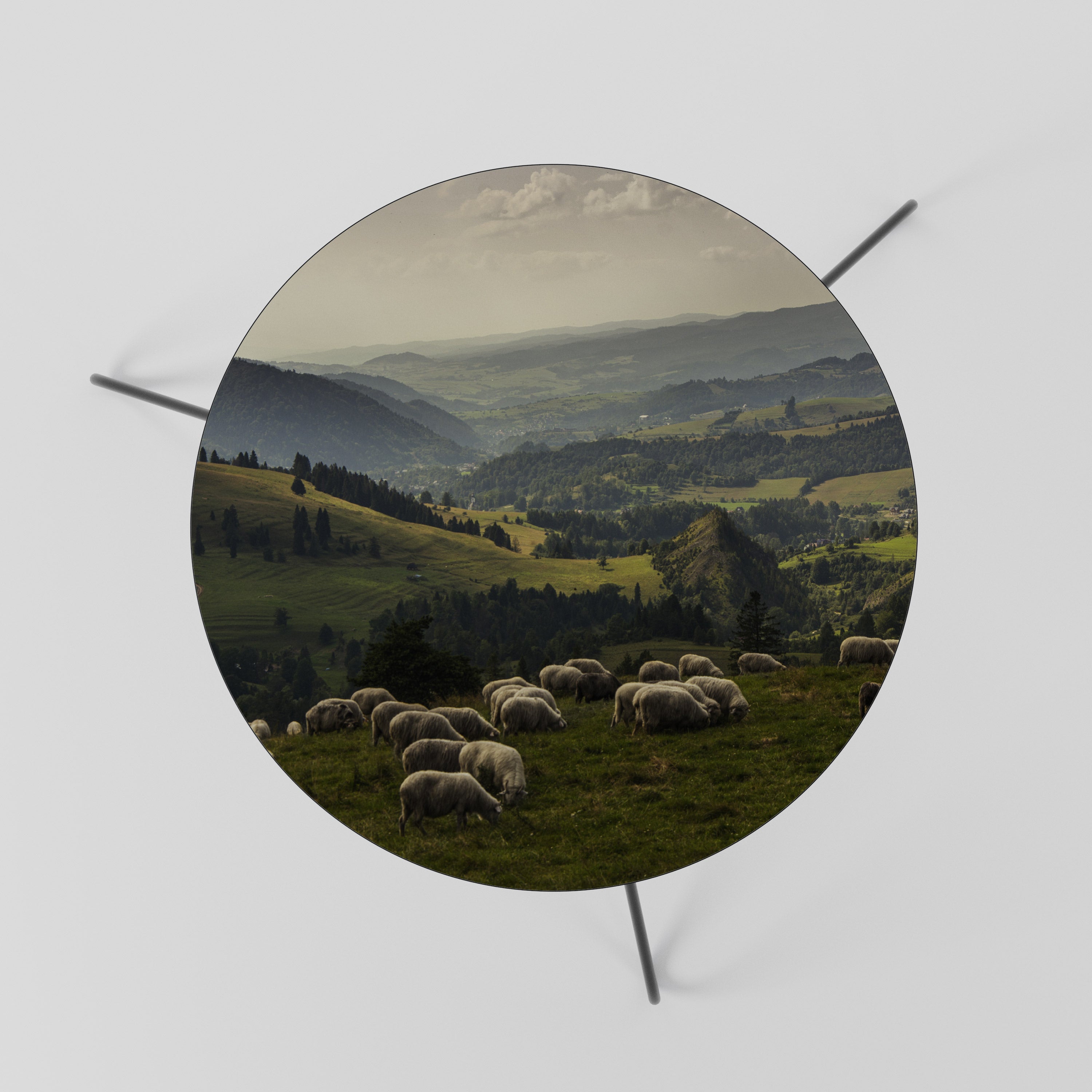 SHEEP IN SERENITY Couchtisch 60