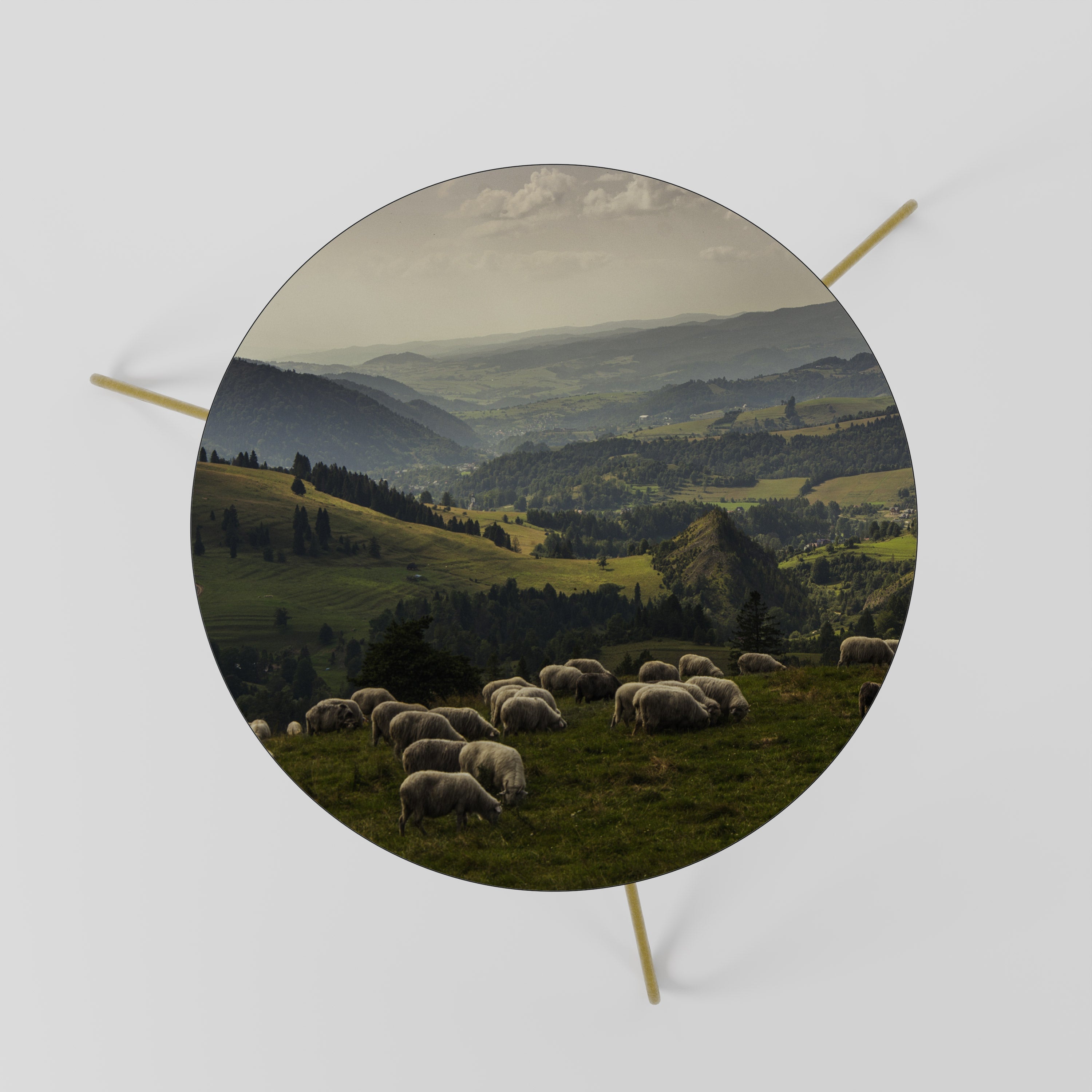 SHEEP IN SERENITY Couchtisch 60