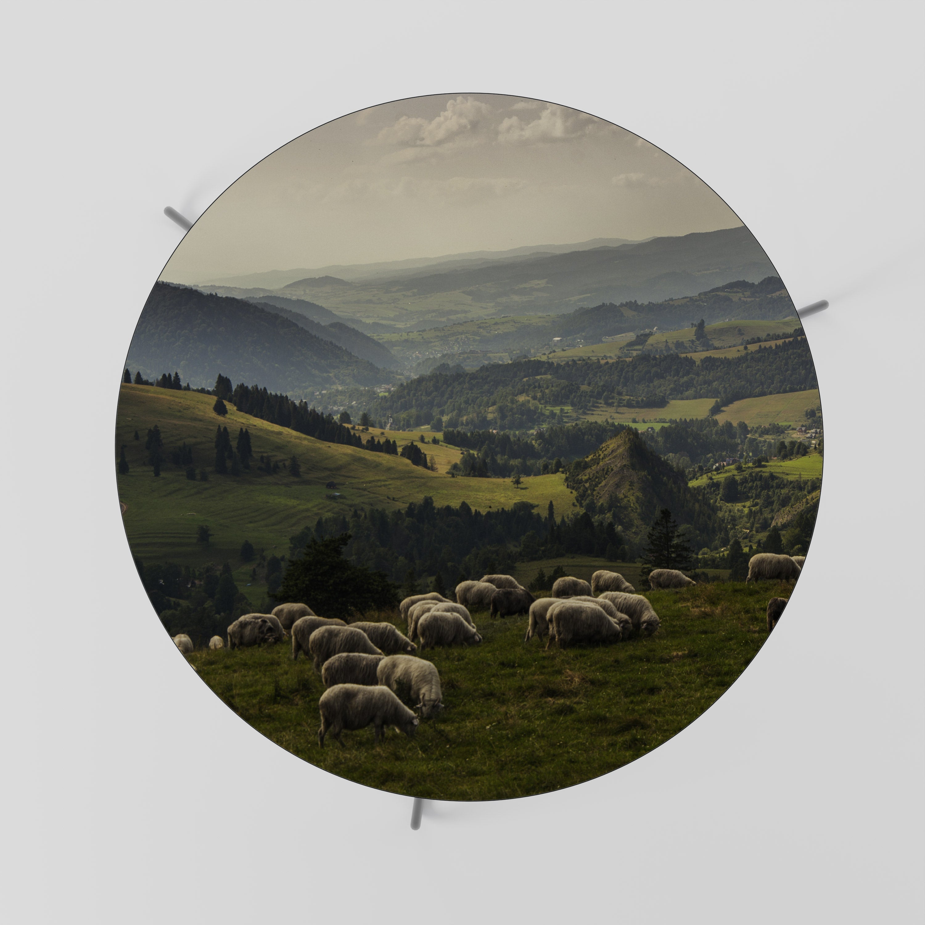 SHEEP IN SERENITY Couchtisch 69