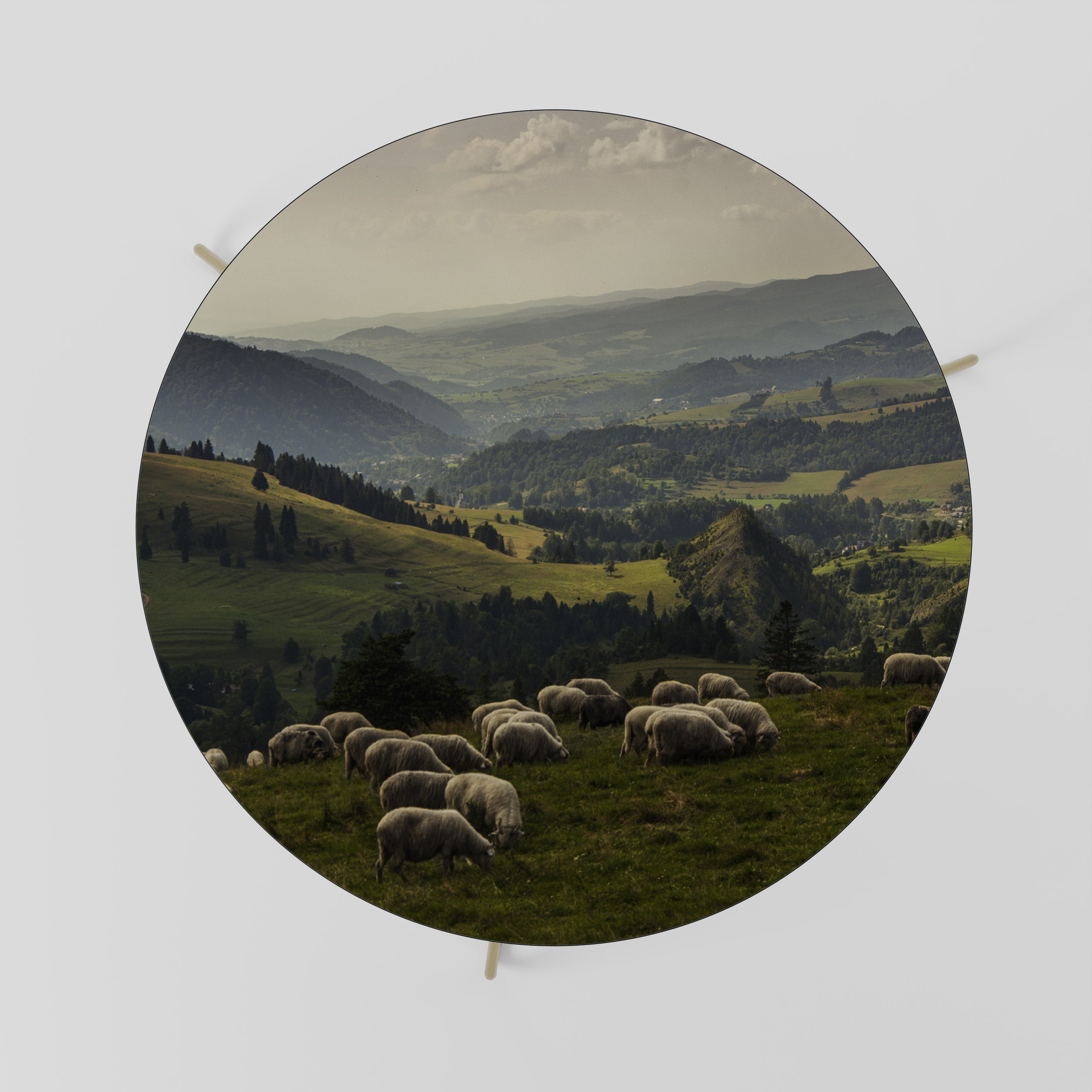 SHEEP IN SERENITY Couchtisch 69