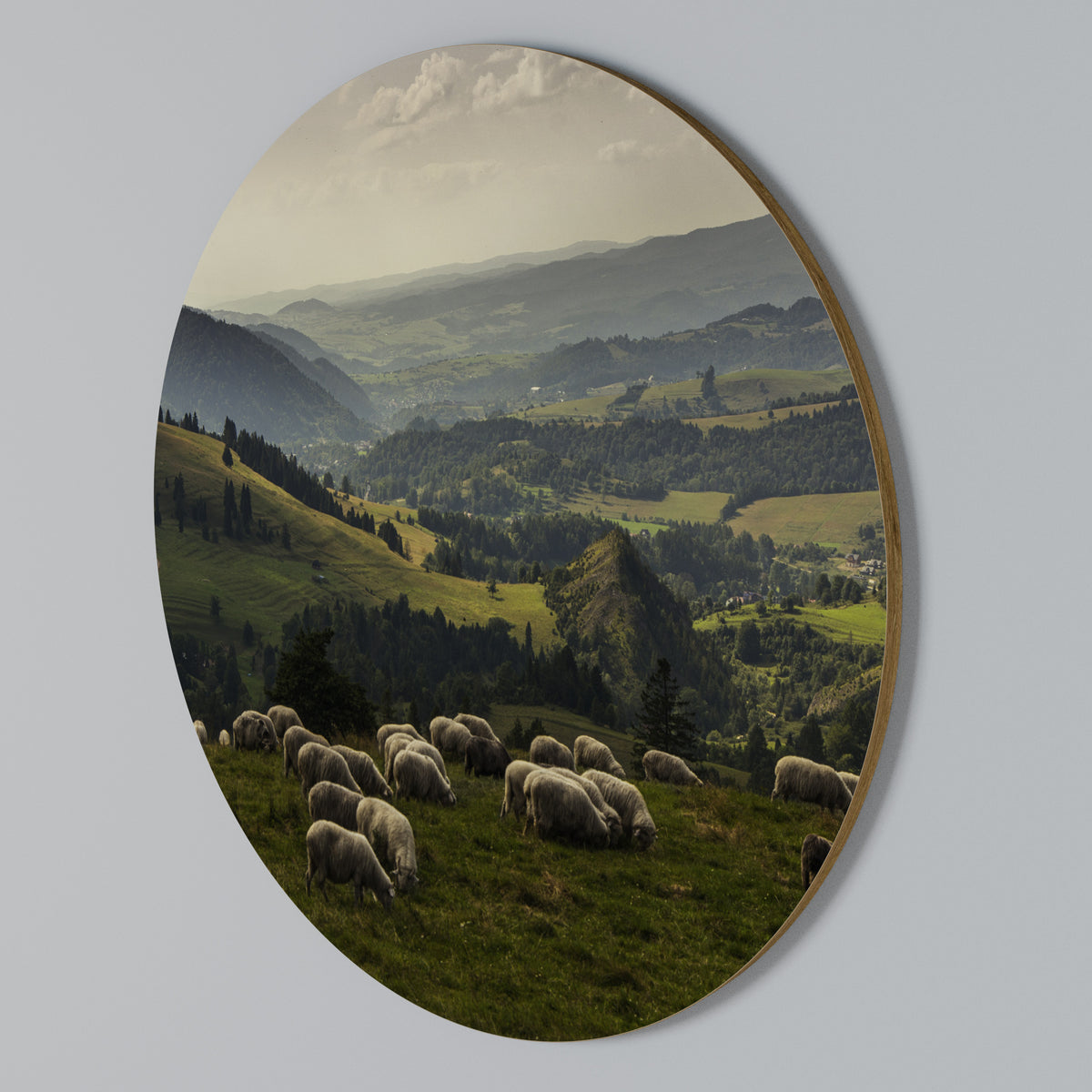 SHEEP IN SERENITY Rundes Wandbild