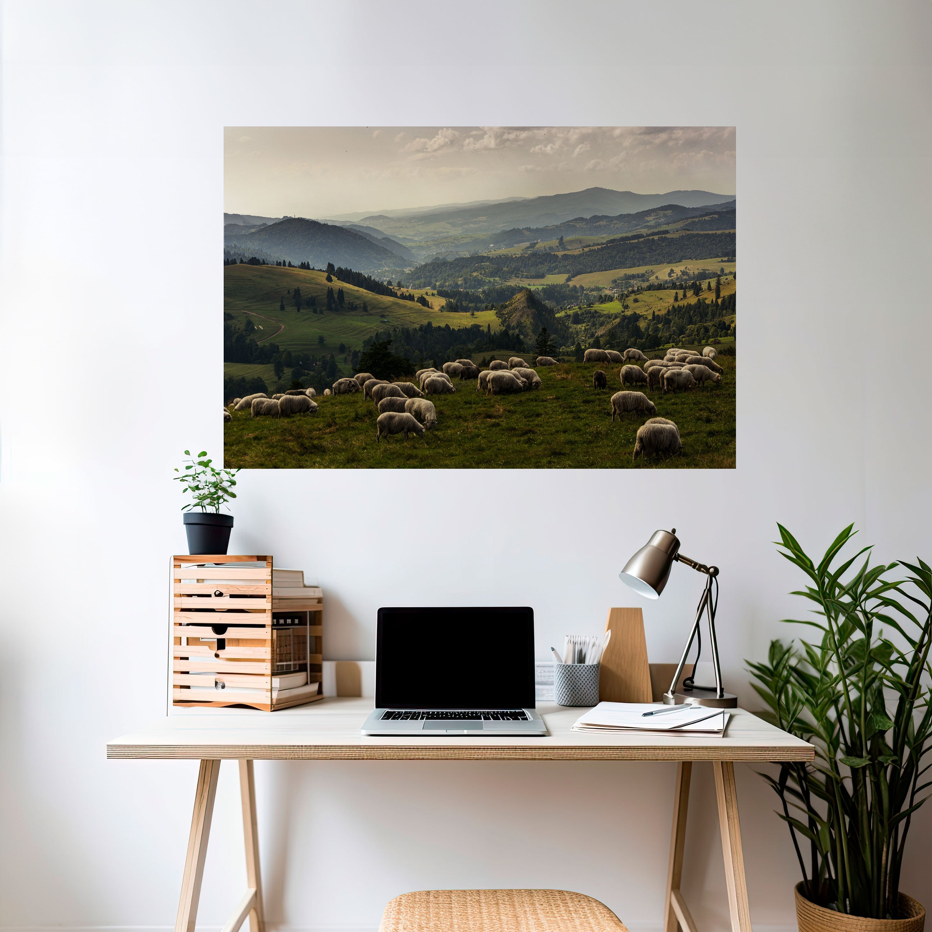 Horizontales Poster „SHEEP IN SERENITY“ zum Abziehen und Aufkleben
