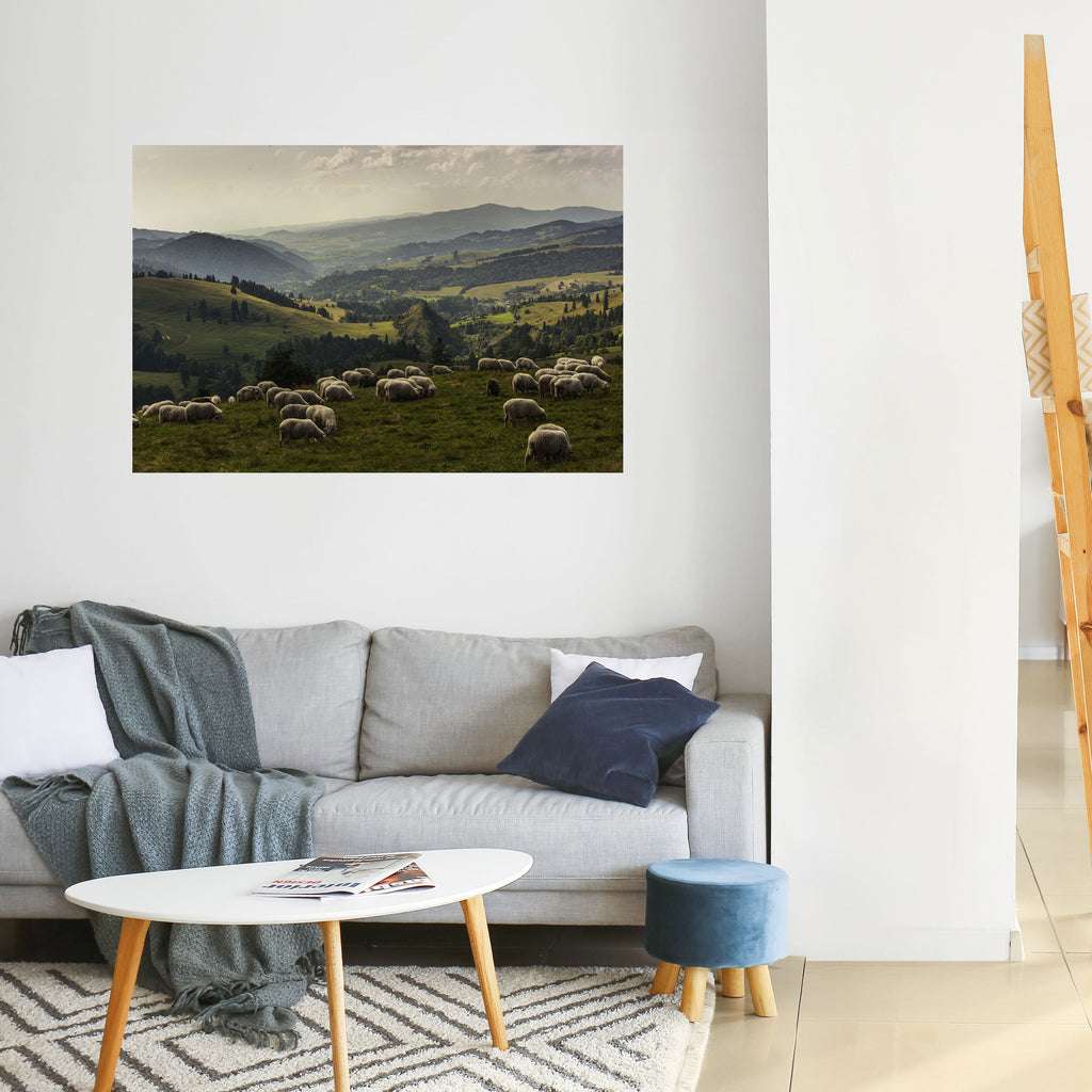 Horizontales Poster „SHEEP IN SERENITY“ zum Abziehen und Aufkleben