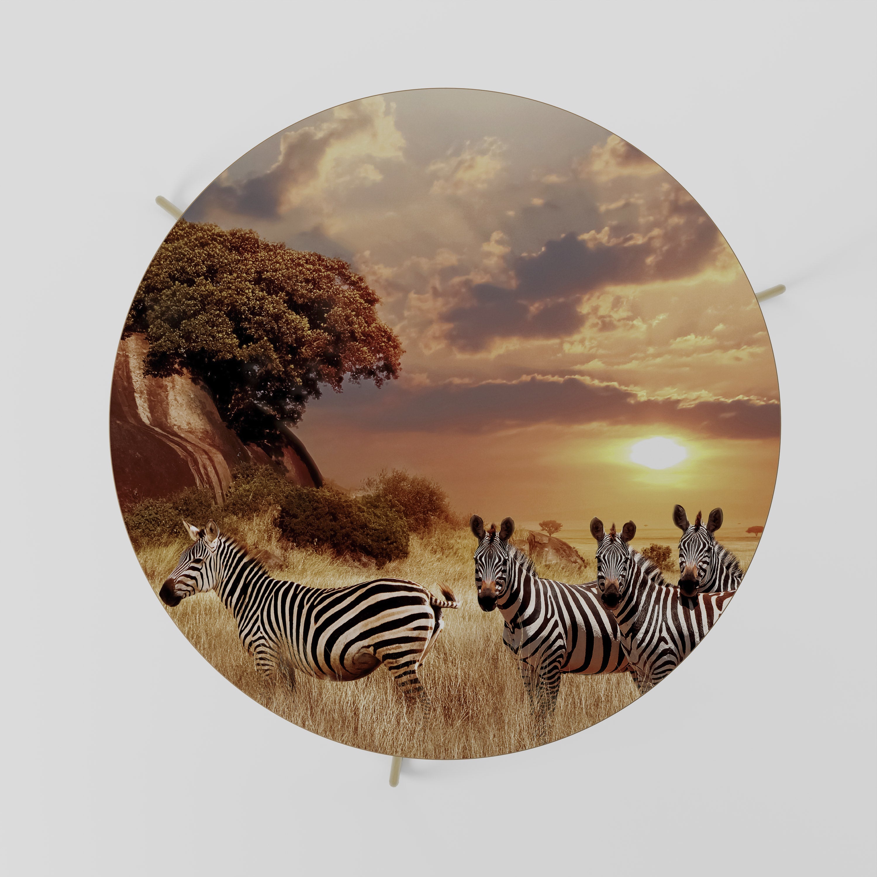 ZEBRA SUNSET SERENADE Couchtisch 69