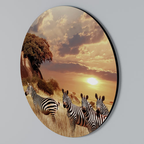 ZEBRA SUNSET SERENADE Rundes Wandbild