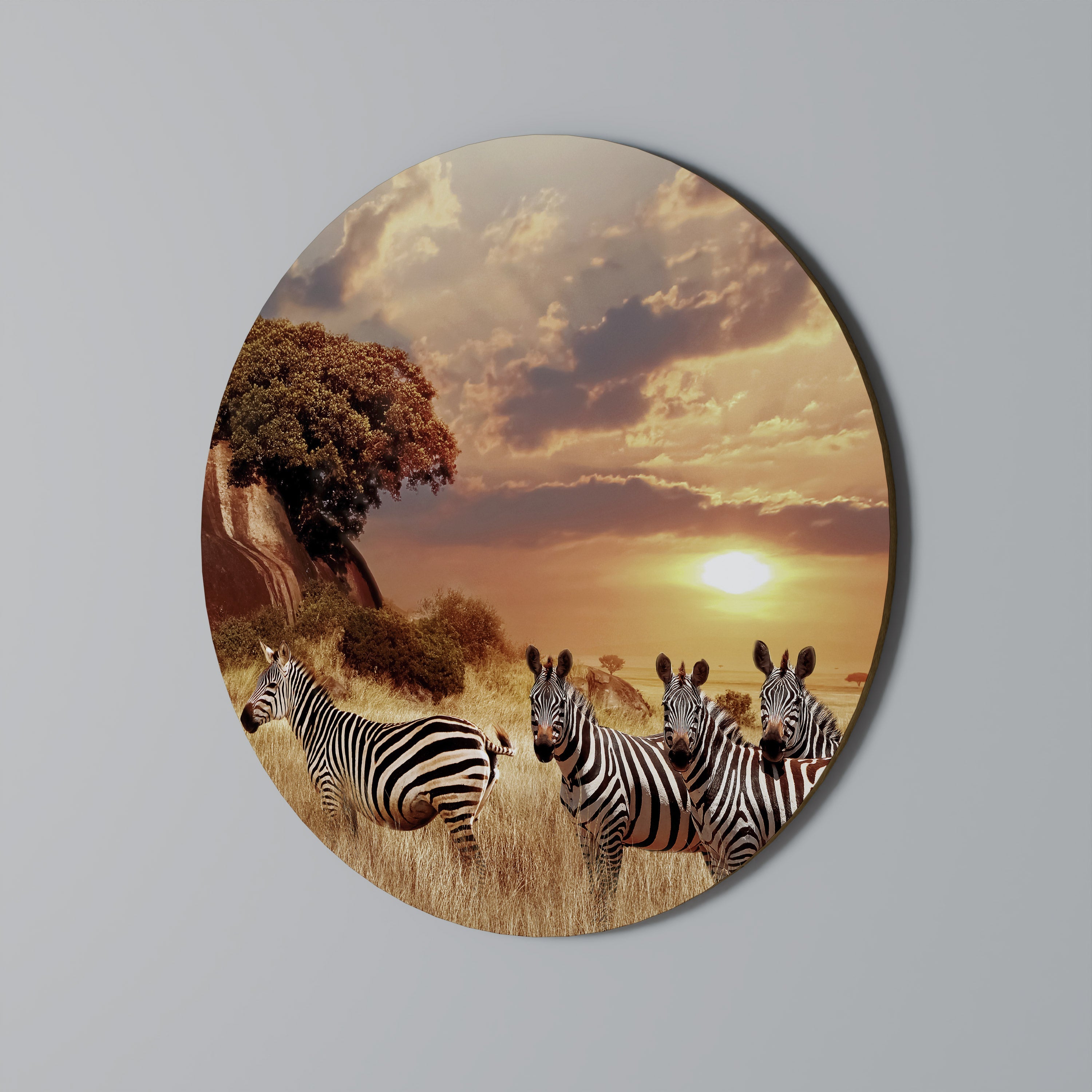 ZEBRA SUNSET SERENADE Runde Wandkunst
