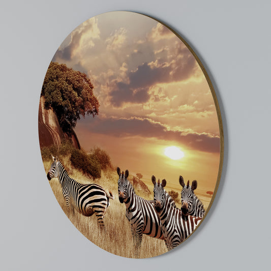 ZEBRA SUNSET SERENADE Rundes Wandbild