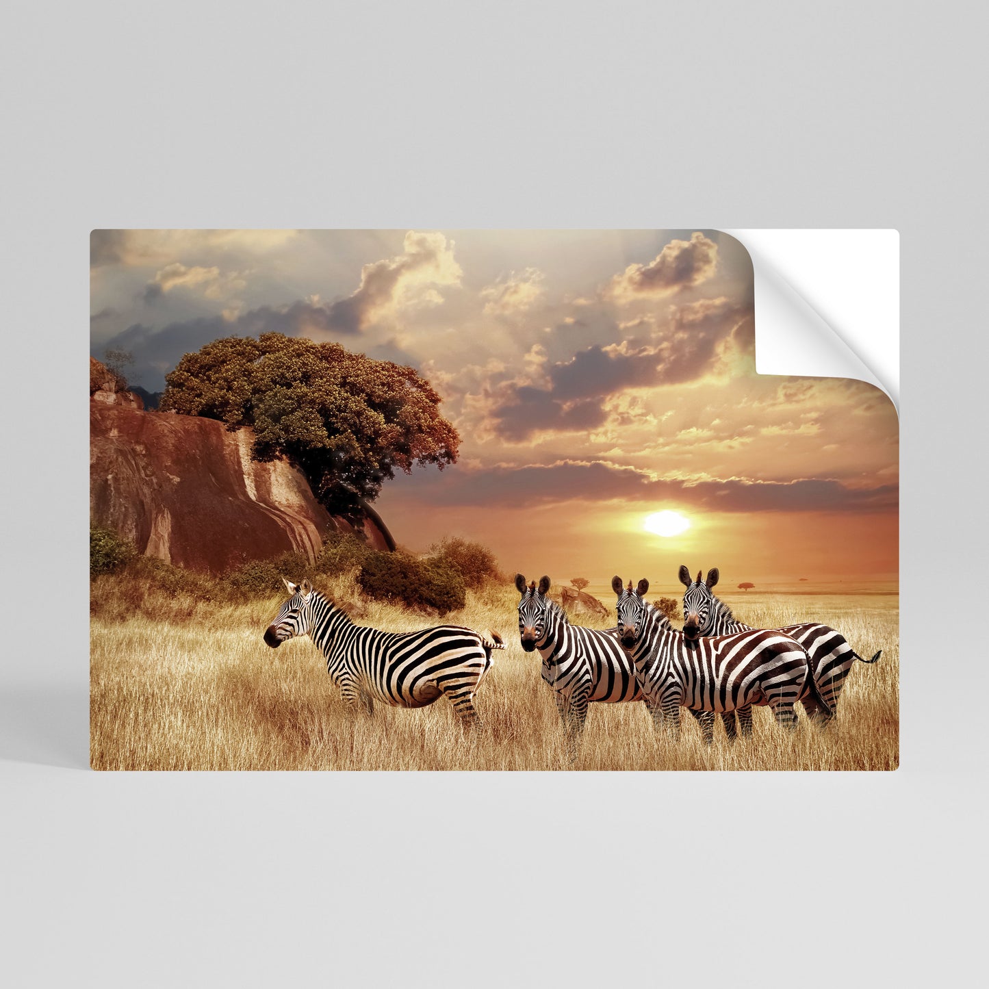 ZEBRA SUNSET SERENADE Selbstklebendes Horizontal-Poster