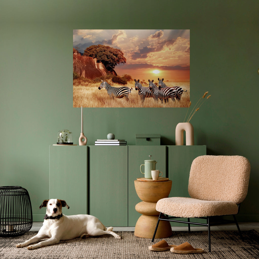 ZEBRA SUNSET SERENADE Horizontales Poster zum Abziehen und Aufkleben