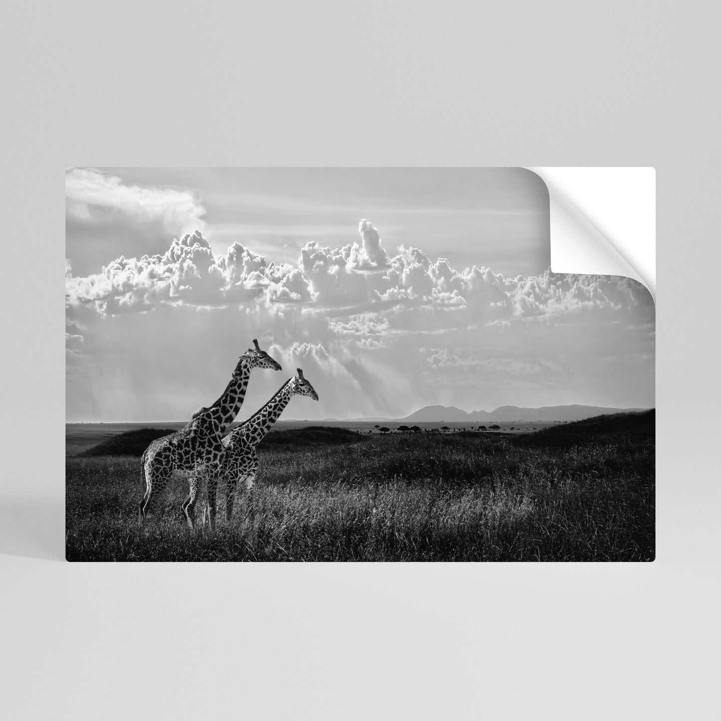 ELEGANT HEIGHTS UNVEILED Selbstklebendes Horizontal-Poster