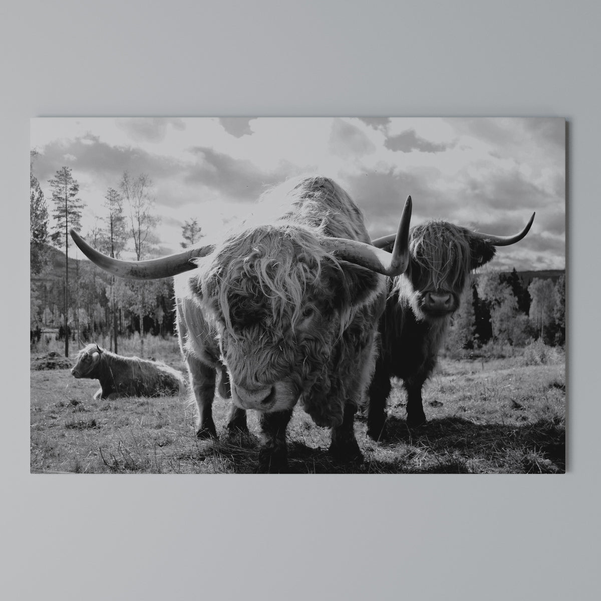 STILLNESS OF OLD SOULS Horizontal Canvas Print