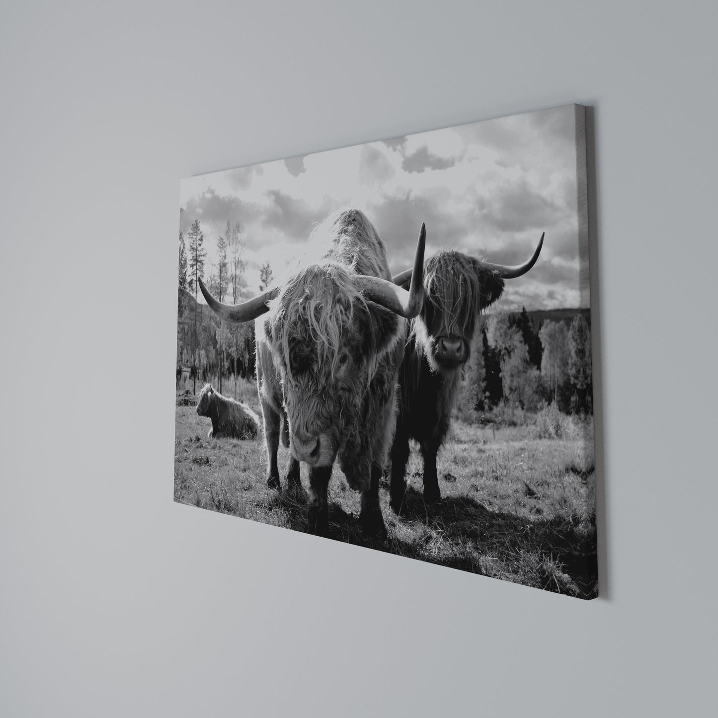 STILLNESS OF OLD SOULS Horizontal Canvas Print