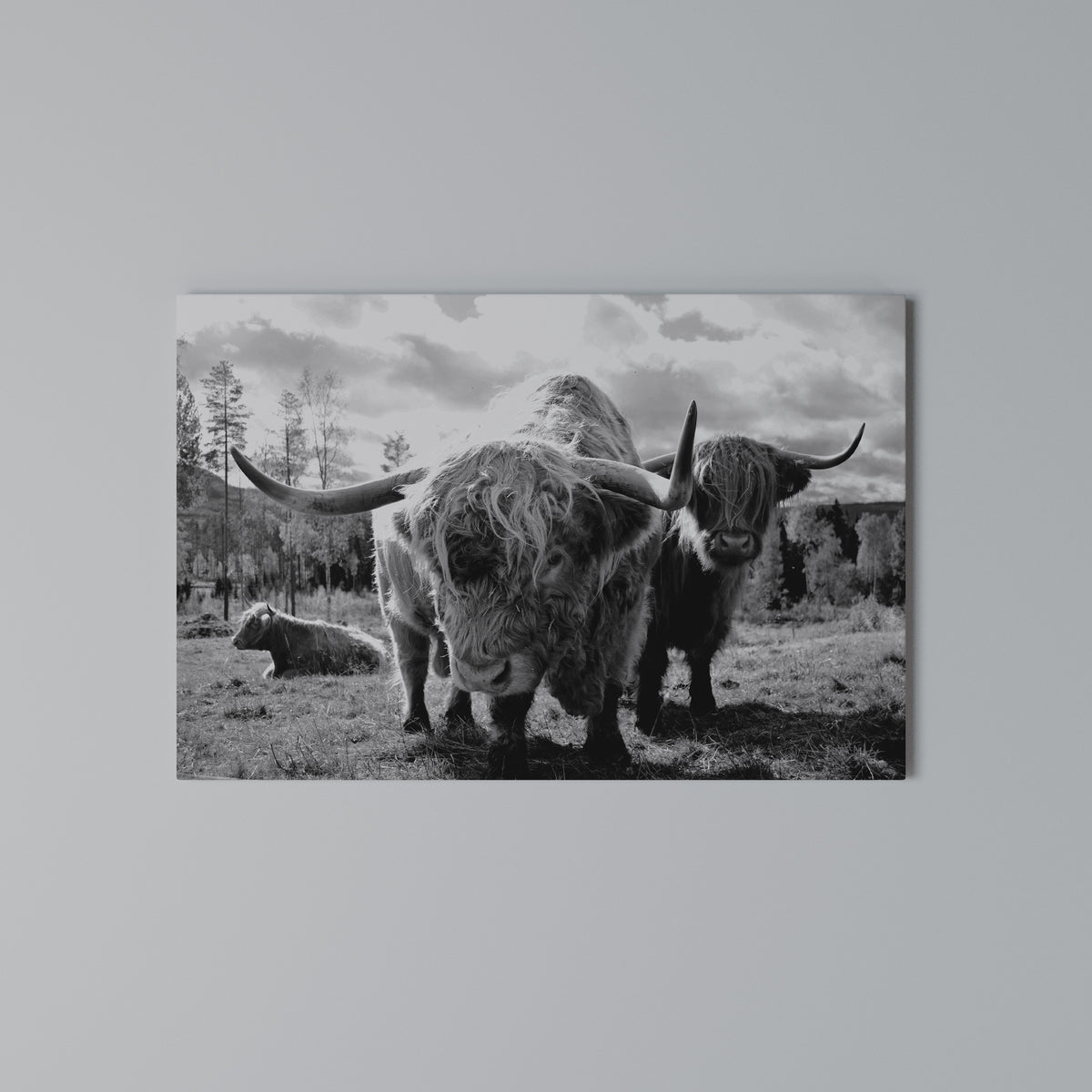 STILLNESS OF OLD SOULS Horizontal Canvas Print