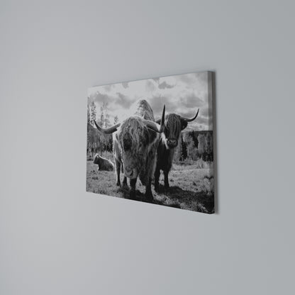 STILLNESS OF OLD SOULS Horizontal Canvas Print