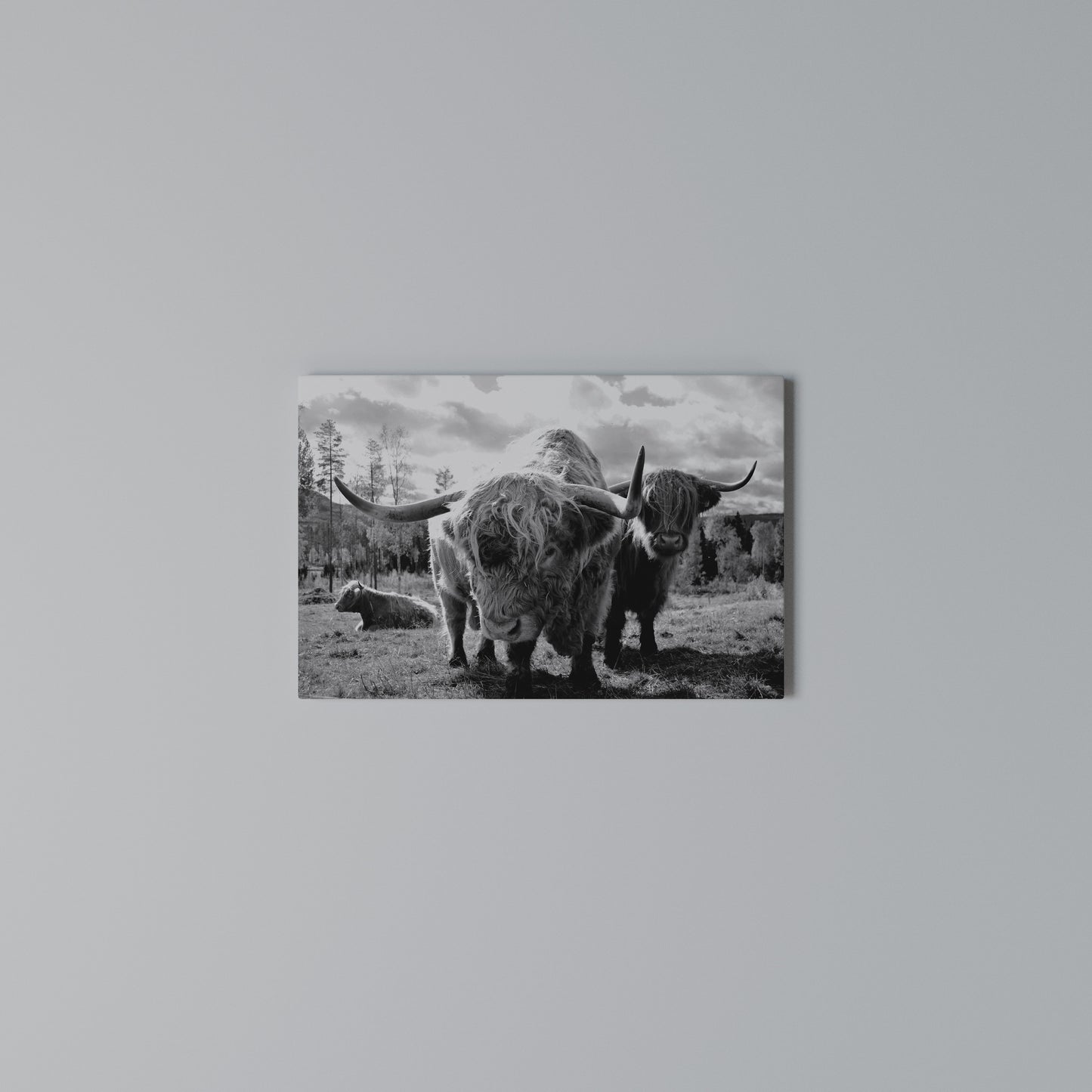 STILLNESS OF OLD SOULS Horizontal Canvas Print