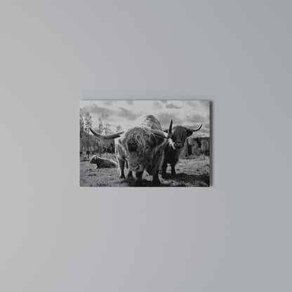STILLNESS OF OLD SOULS Horizontal Canvas Print