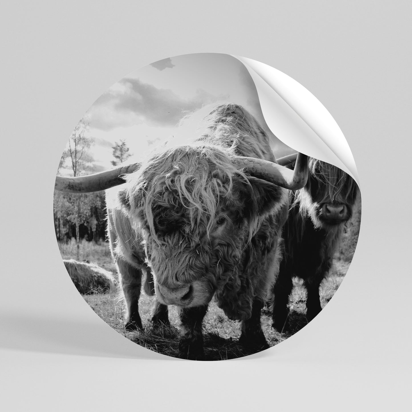 STILLNESS OF OLD SOULS Peel and Stick Round Sticker