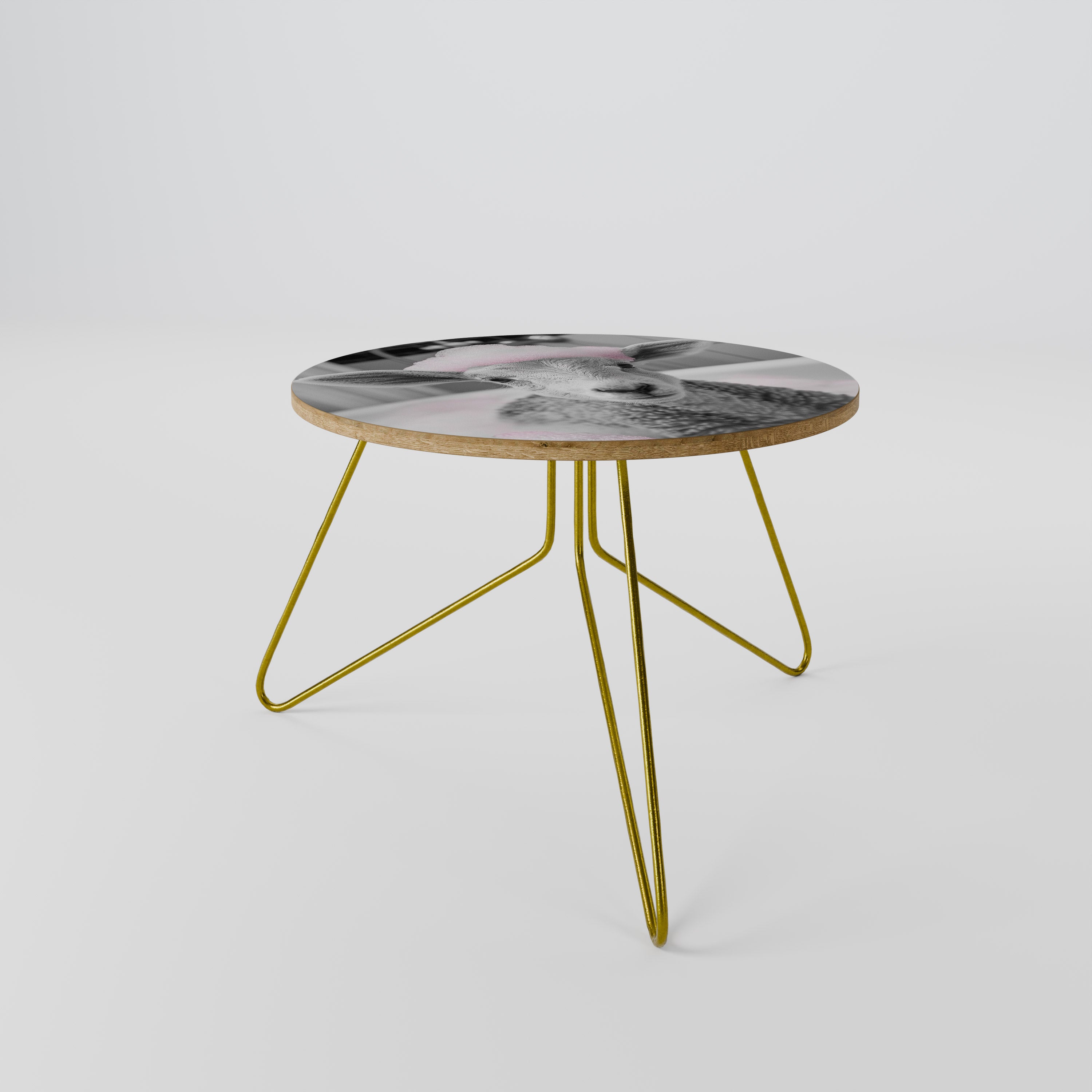 PINK CLOUD BATH TIME Coffee Table