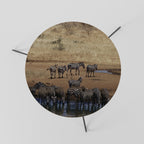 THE ZEBRA HARMONY Couchtisch Ø 60 cm