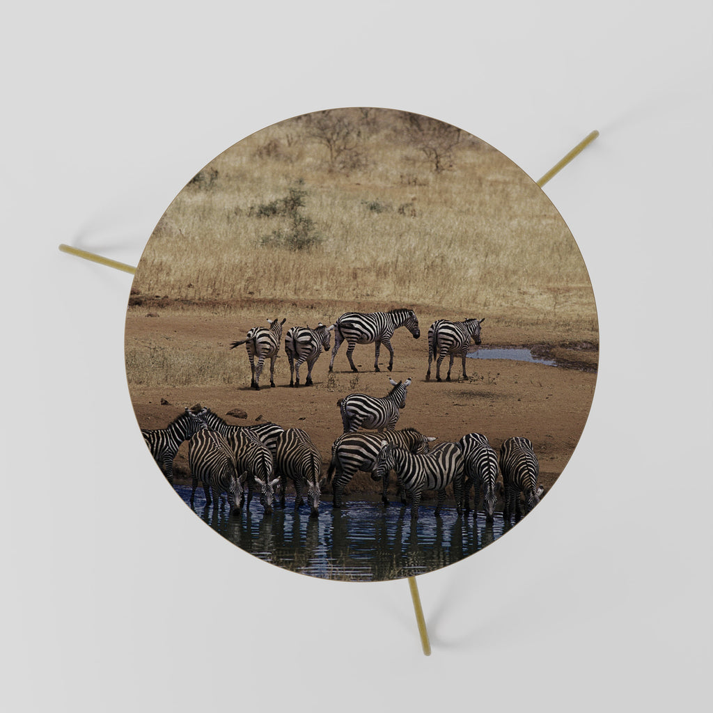 DER ZEBRA HARMONY Couchtisch 60