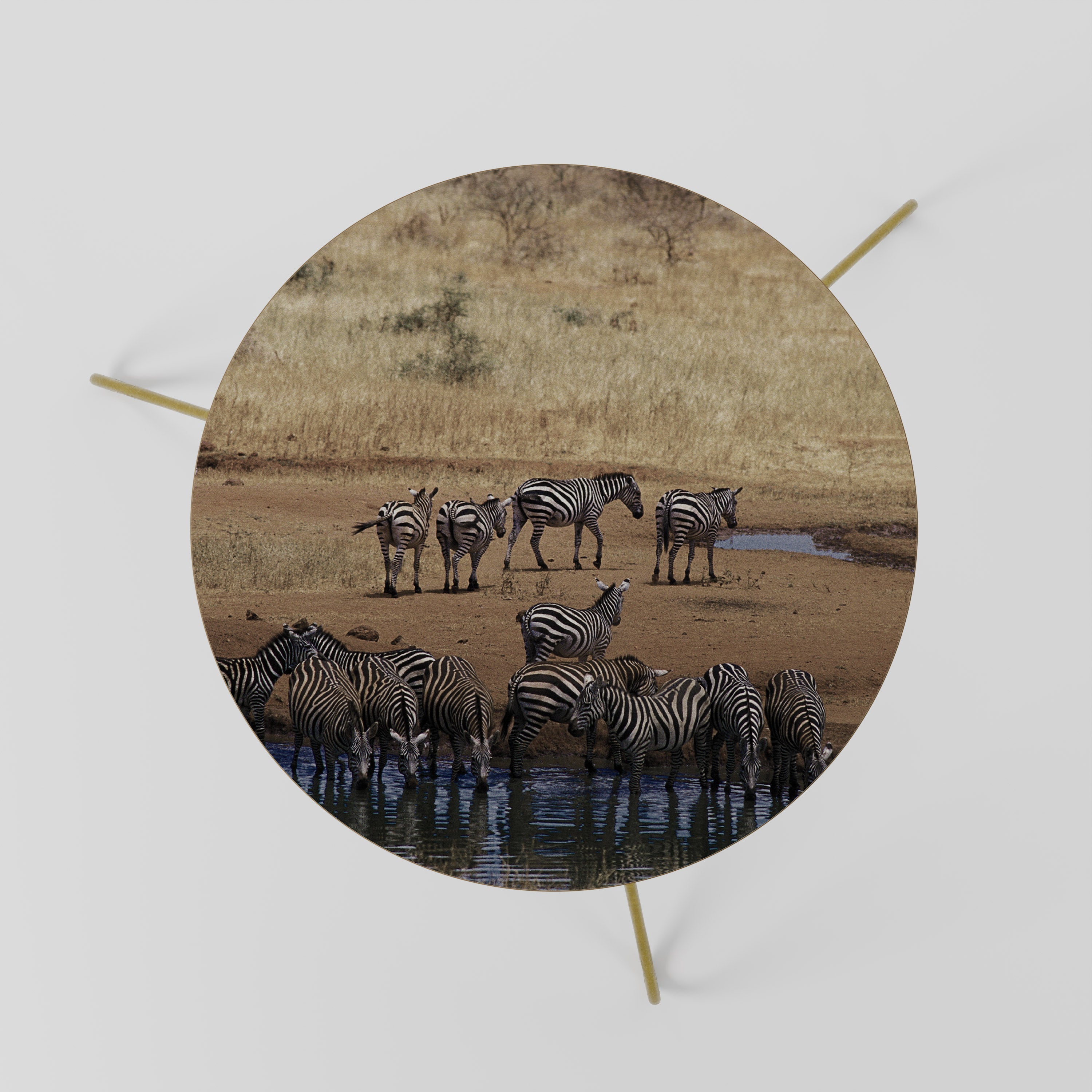 DER ZEBRA HARMONY Couchtisch 60