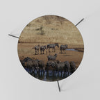 THE ZEBRA HARMONY Couchtisch Ø 60 cm