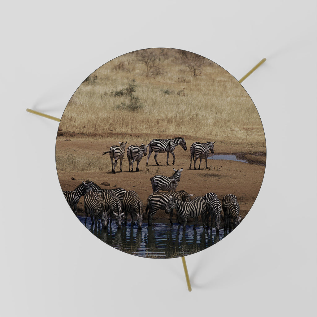 DER ZEBRA HARMONY Couchtisch 60