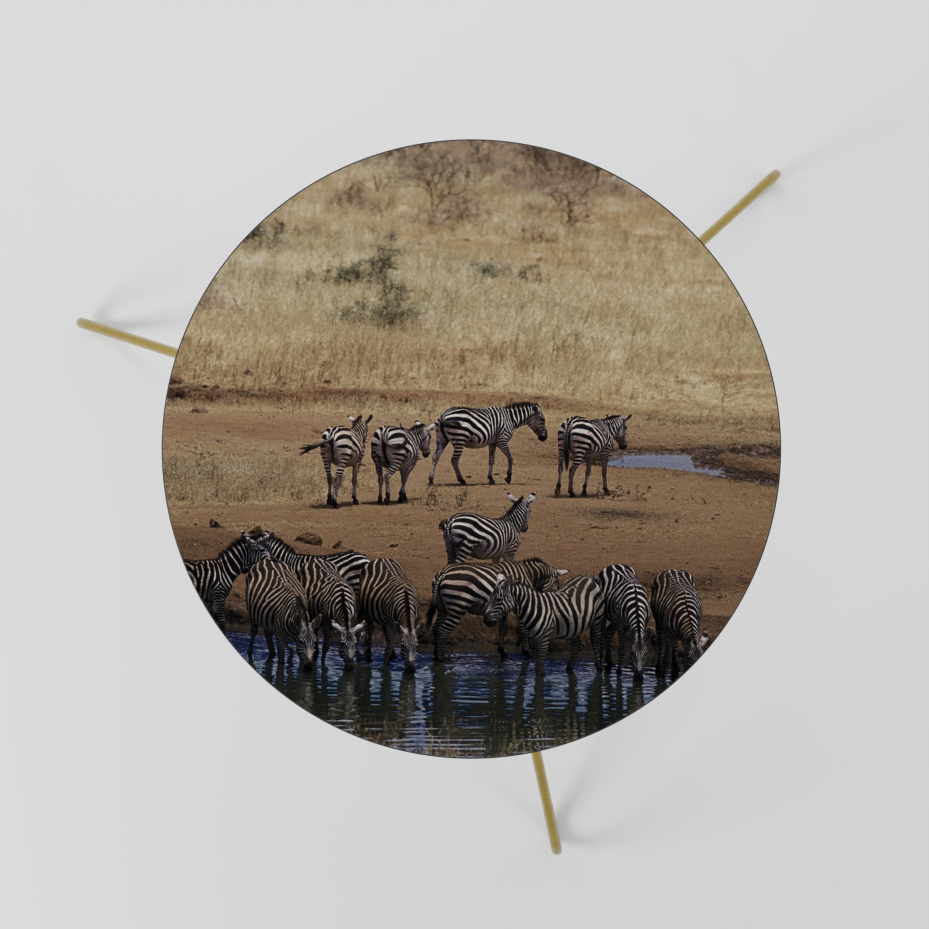 DER ZEBRA HARMONY Couchtisch 60