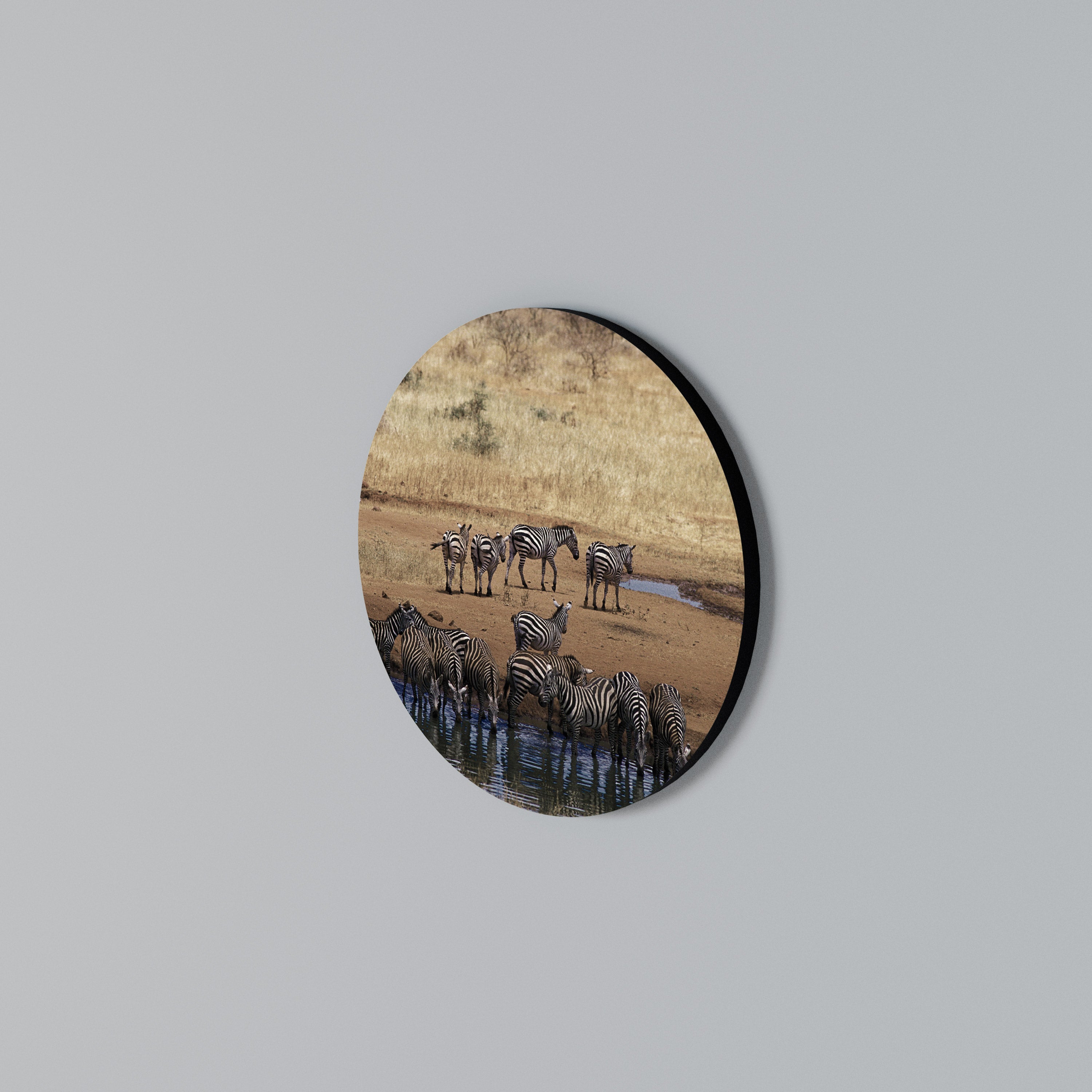 THE ZEBRA HARMONY Round Wall Art