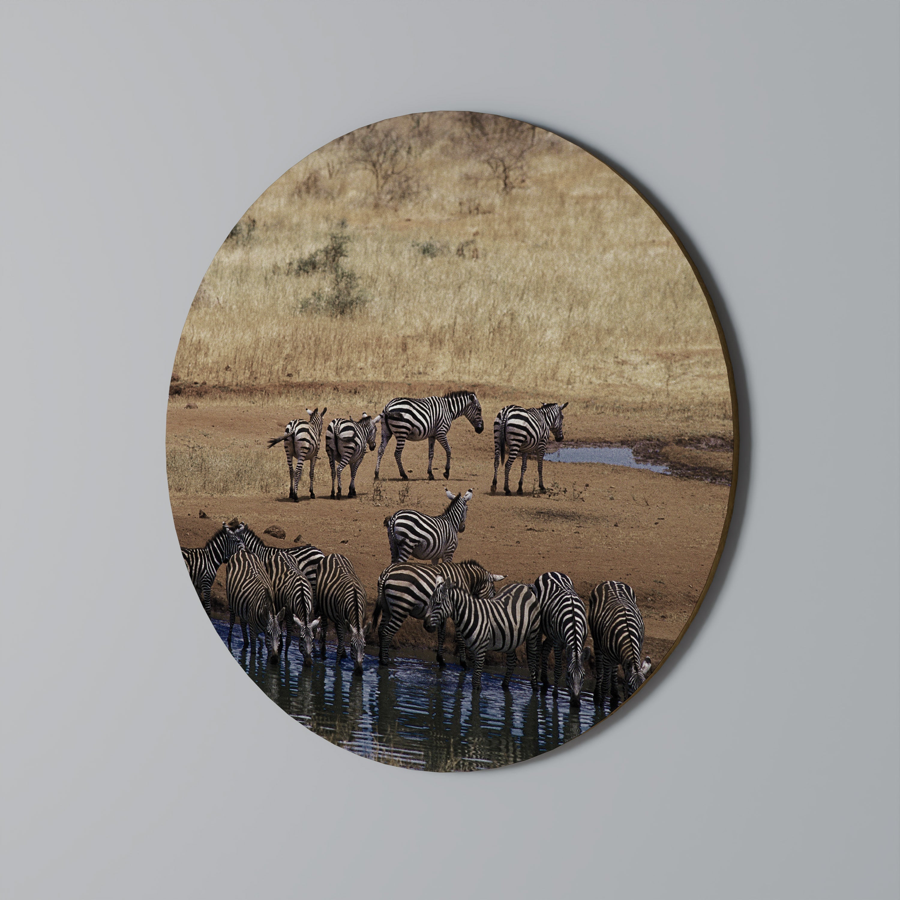 THE ZEBRA HARMONY Runde Wandkunst