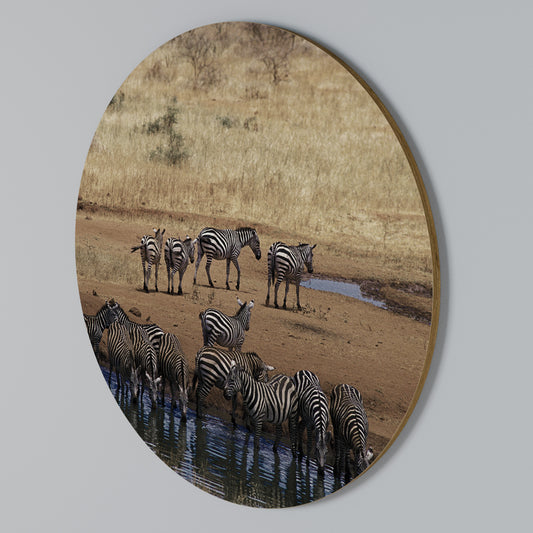 THE ZEBRA HARMONY Rundes Wandbild
