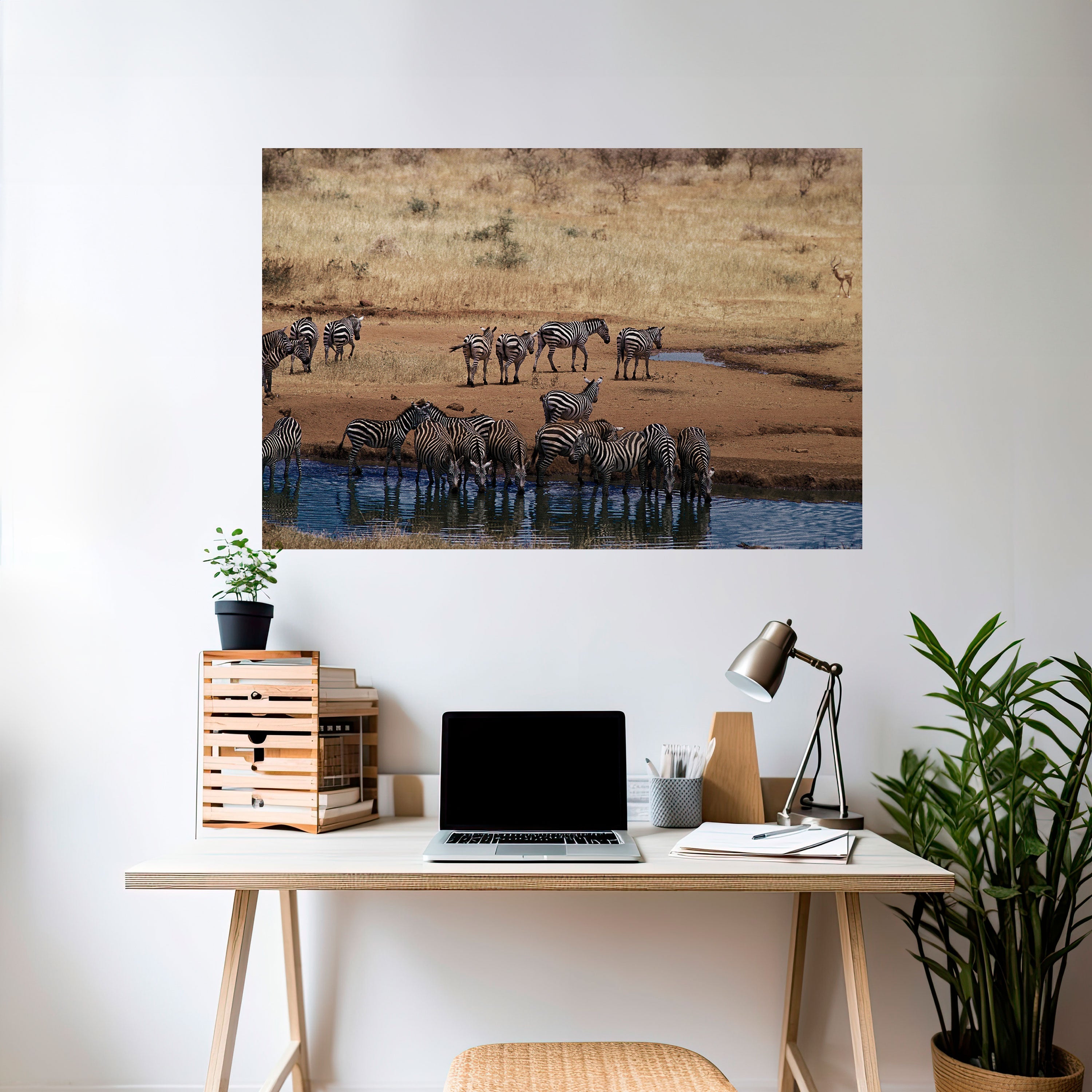 THE ZEBRA HARMONY Horizontales Poster zum Abziehen und Aufkleben