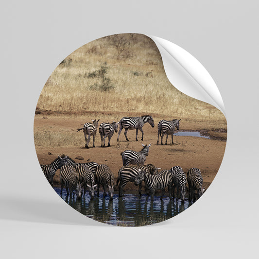 THE ZEBRA HARMONY Runder Wandsticker zum Abziehen und Aufkleben