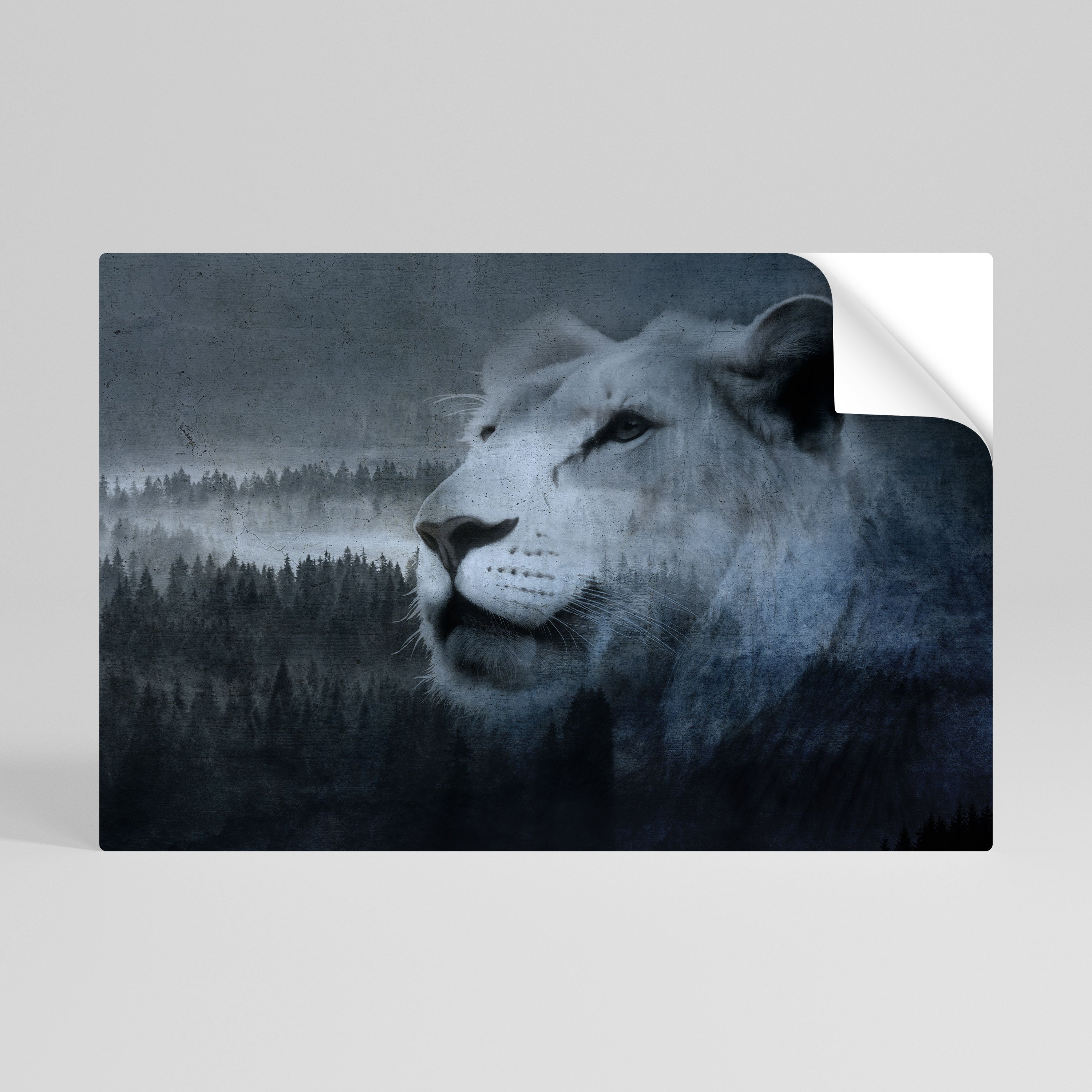 LION'S HARMONY IN BLAU Horizontales Poster zum Abziehen und Aufkleben