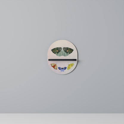 MOTH INTO THE LIGHT Art Shelf