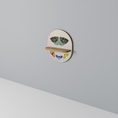 MOTH INTO THE LIGHT Art Shelf