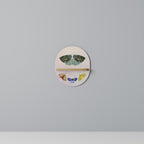 MOTH INTO THE LIGHT Ovales Kunstregal in Eiche-Optik