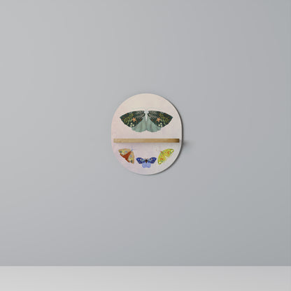 MOTH INTO THE LIGHT Art Shelf