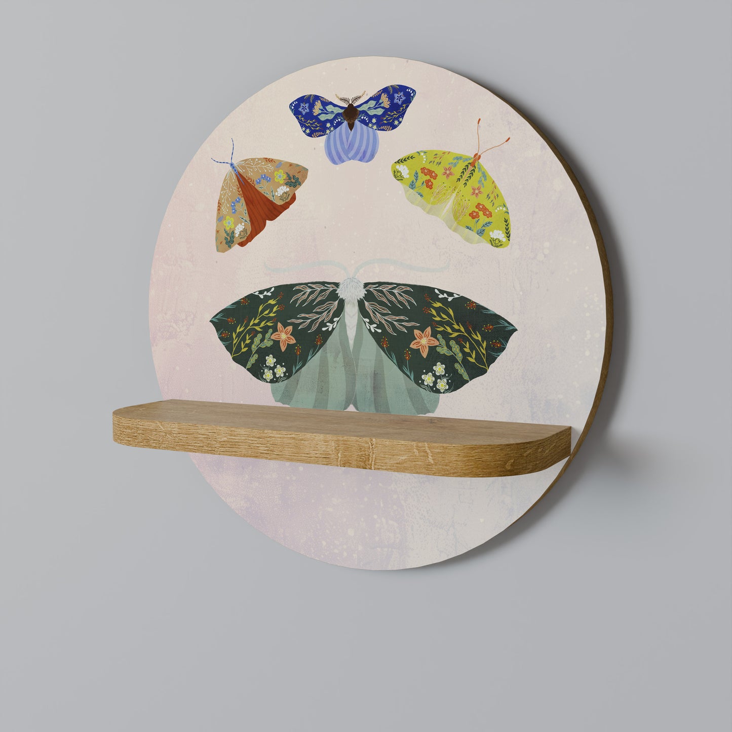MOTH INTO THE LIGHT Art Shelf