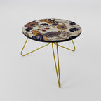 EMINENT HOOPOE Coffee Table