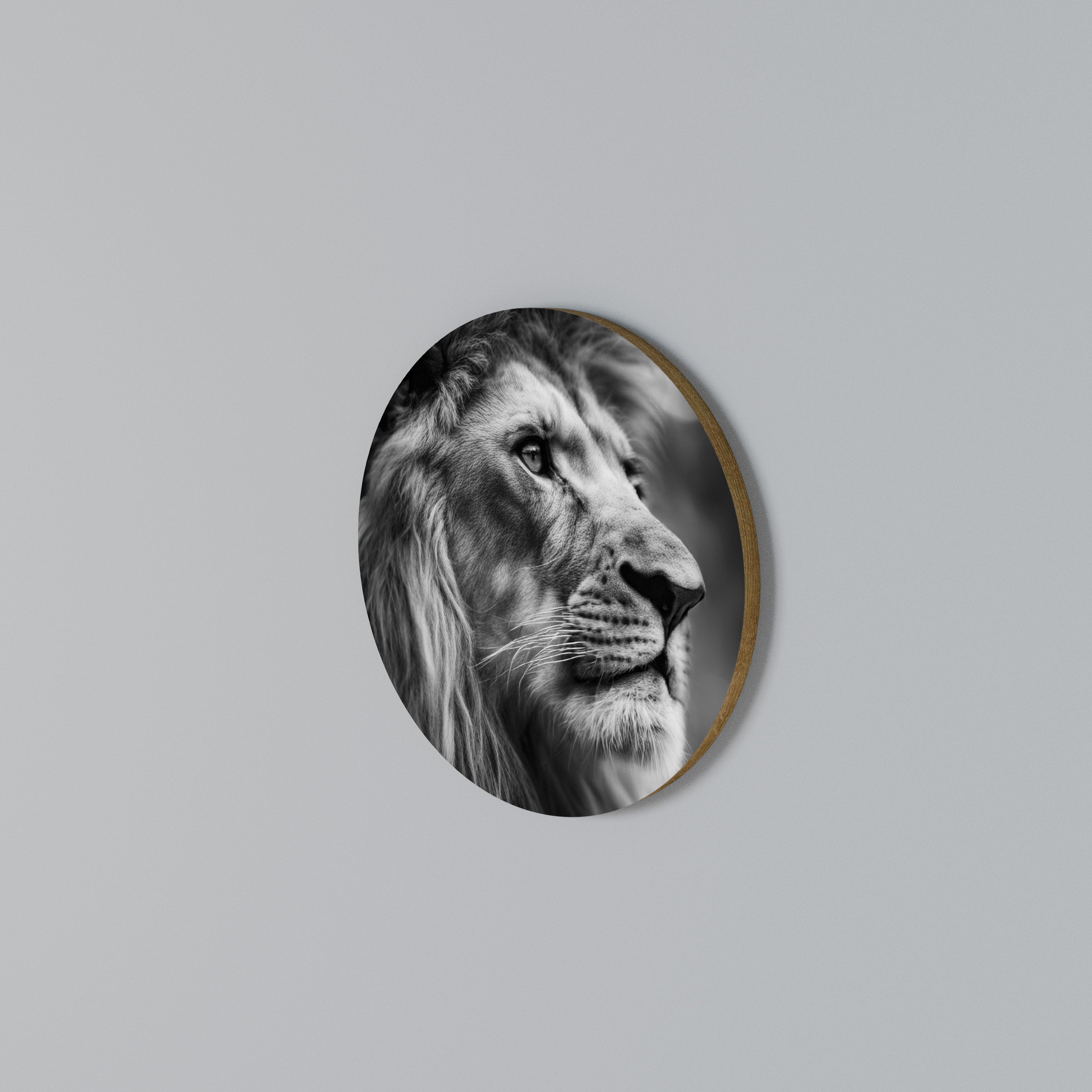 ROYAL REFLECTION Rundes Wandbild