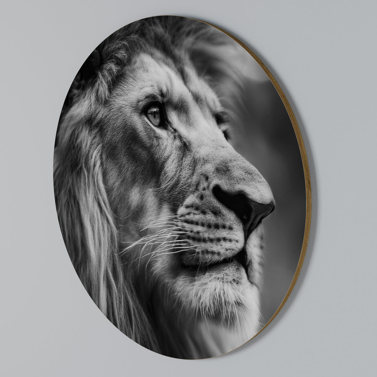 ROYAL REFLECTION Round Wall Art