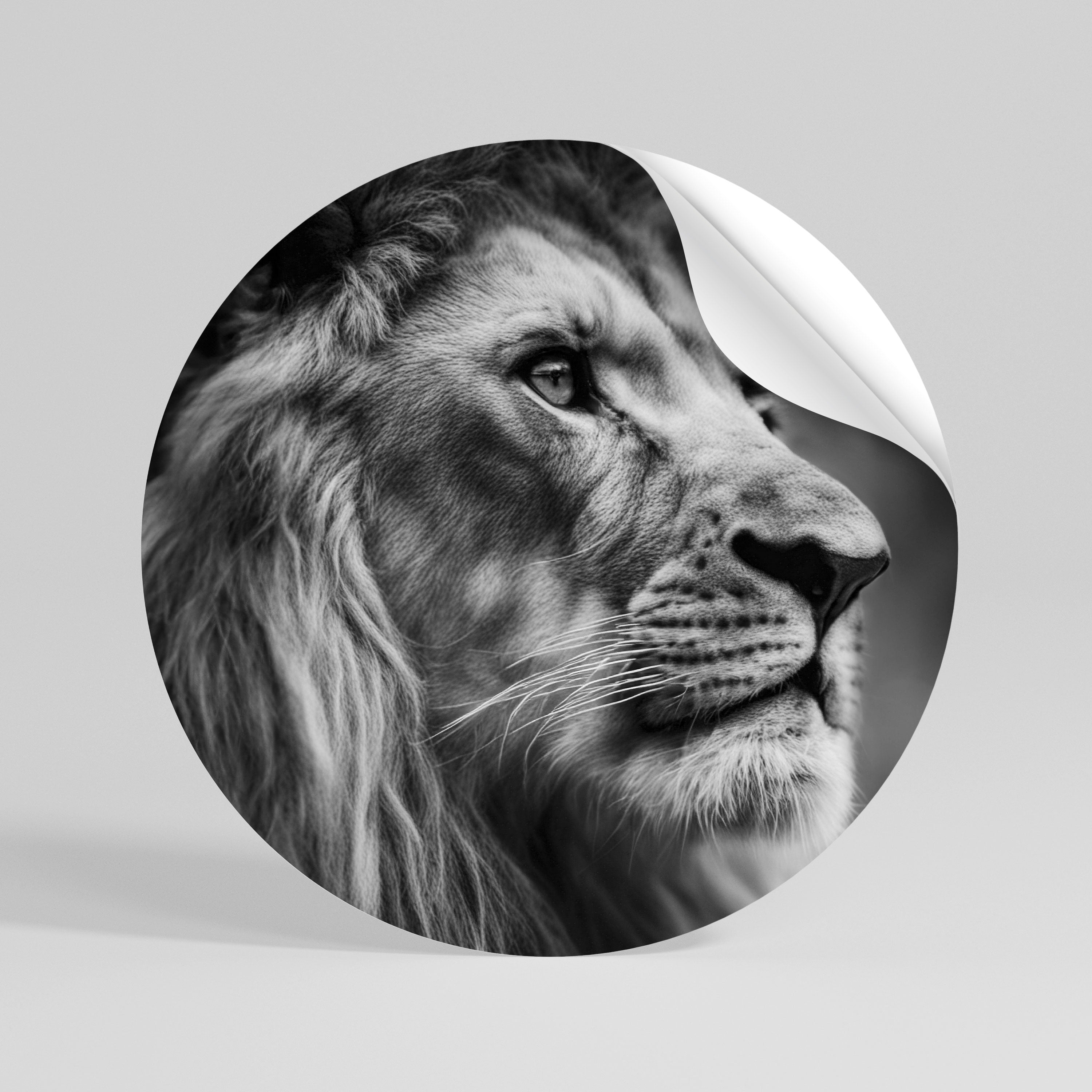 ROYAL REFLECTION Peel and Stick Round Sticker